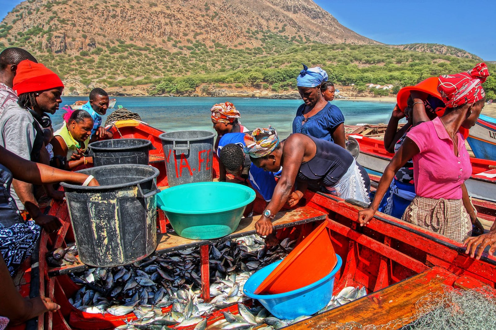 Tarrafal, Cape Verde, 2017. Like every day, relatives and local buyers gather around the fishermen’s back to the beach with their catch. The fish is distributed and transported in big plastic basins as unit measures. Tarrafal, Cape Verde, 2017. Like every day, relatives and local buyers gather around the fishermen’s back to the beach with their catch. The fish is distributed and transported in big plastic basins as unit measures.