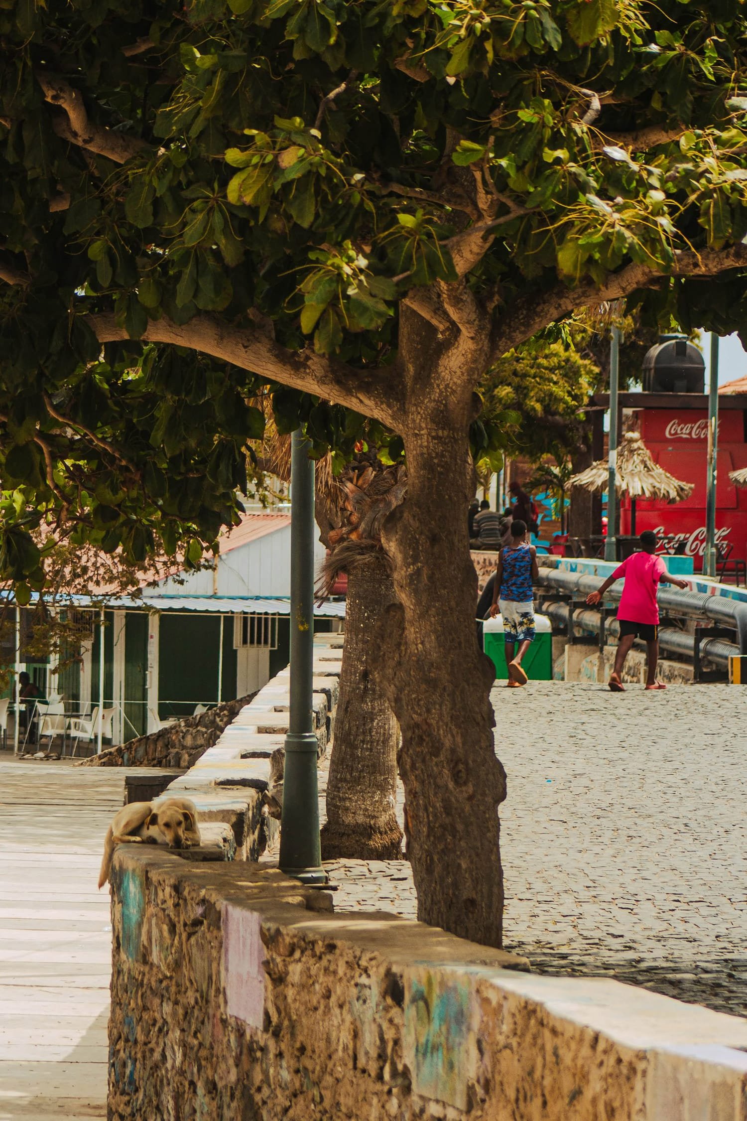 Palmeira, Sal, Cabo Verde