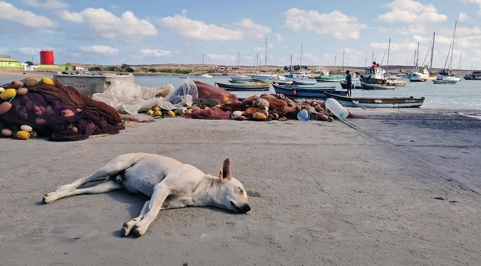Palmeira, Sal, Cabo Verde