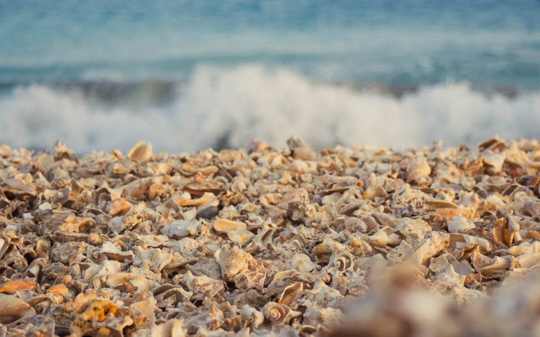 Shell Cemetery Beach in the eastern part of Santa Maria