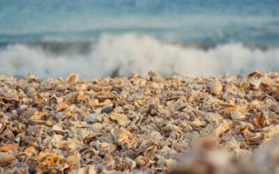 Shell Cementery Beach, Santa Maria, Sal, Cabo Verde