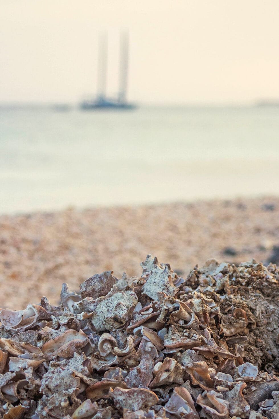 Shell Cemetery Beach: The Great Hidden Gem of Santa Maria