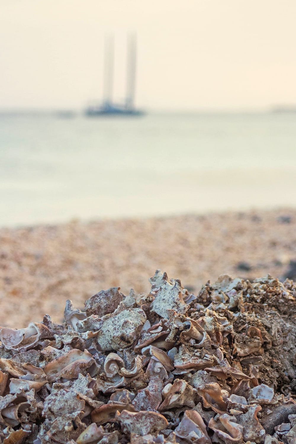 Shell-cemetery-Santa-Maria-Sal-Cabo-Verde