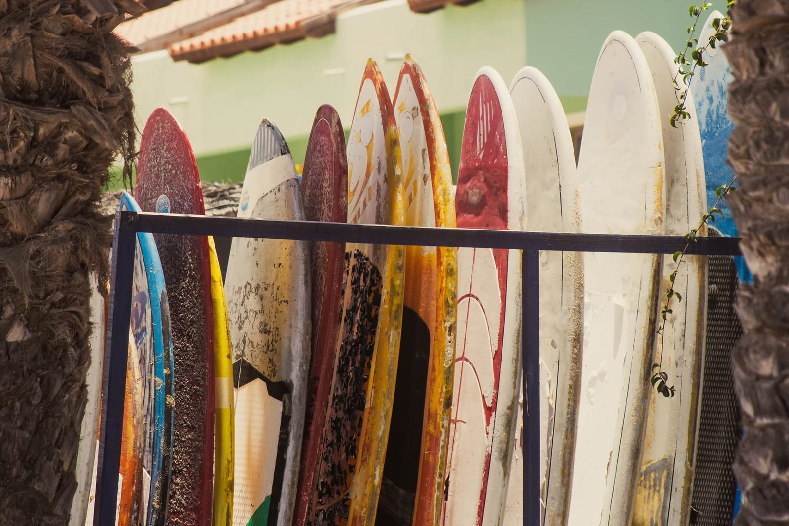 Surfing boards, Santa Maria, Sal, Cape Verde Surfing boards, Santa Maria, Sal, Cape Verde