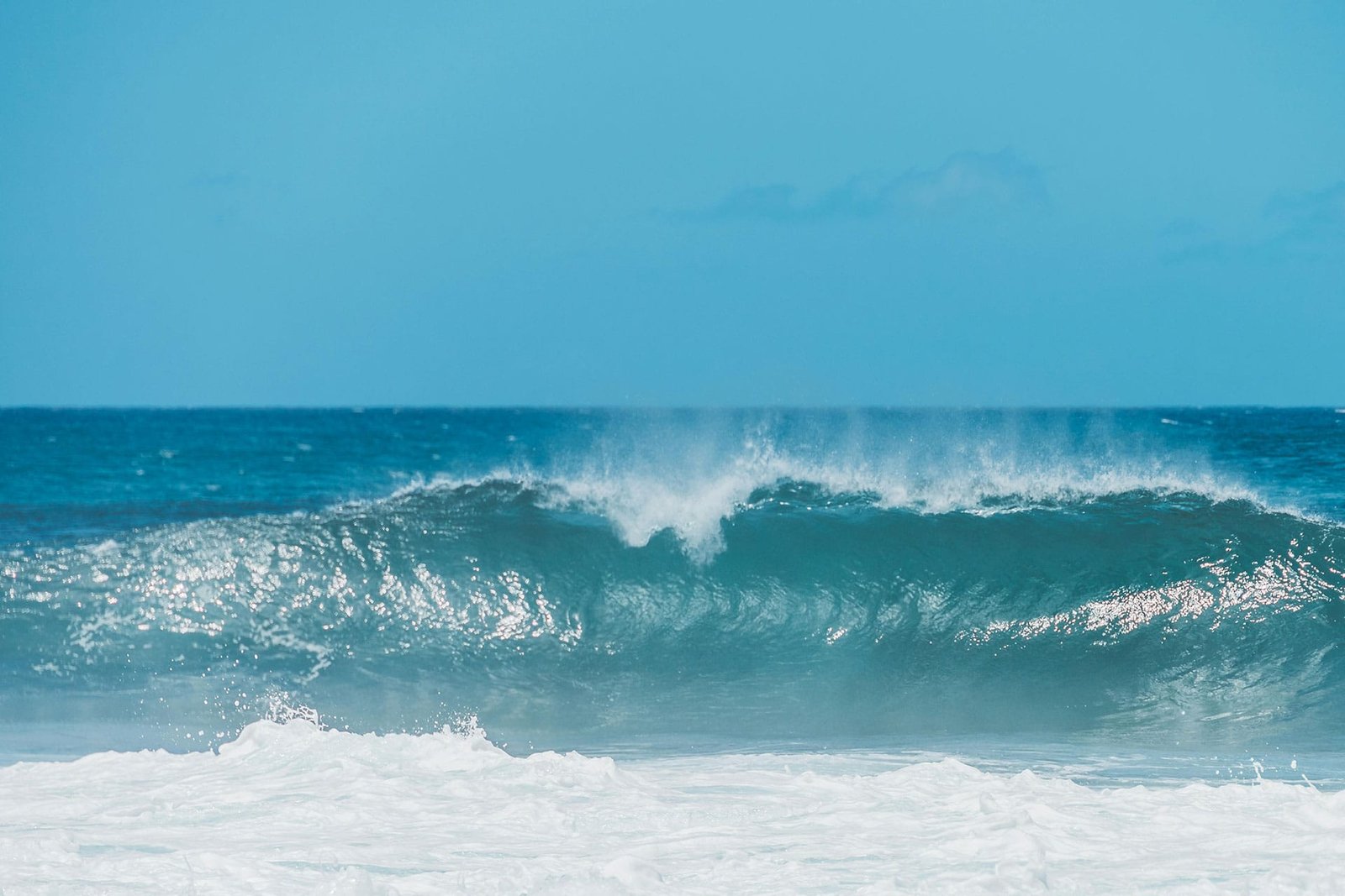Wave by Jess Vide
