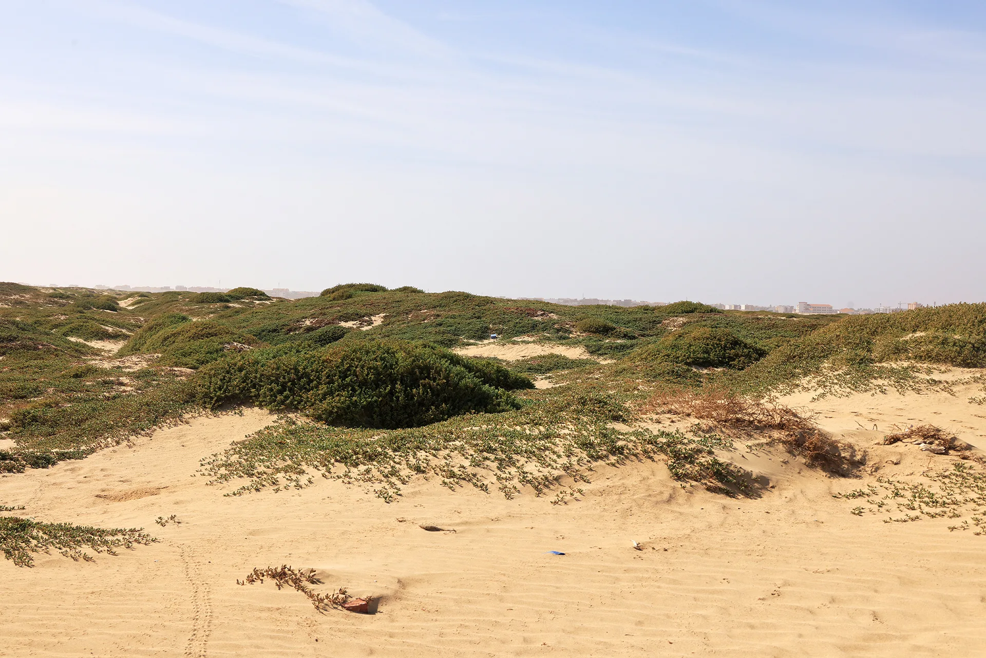 Kite Beach at Sal Island, Cape Verde