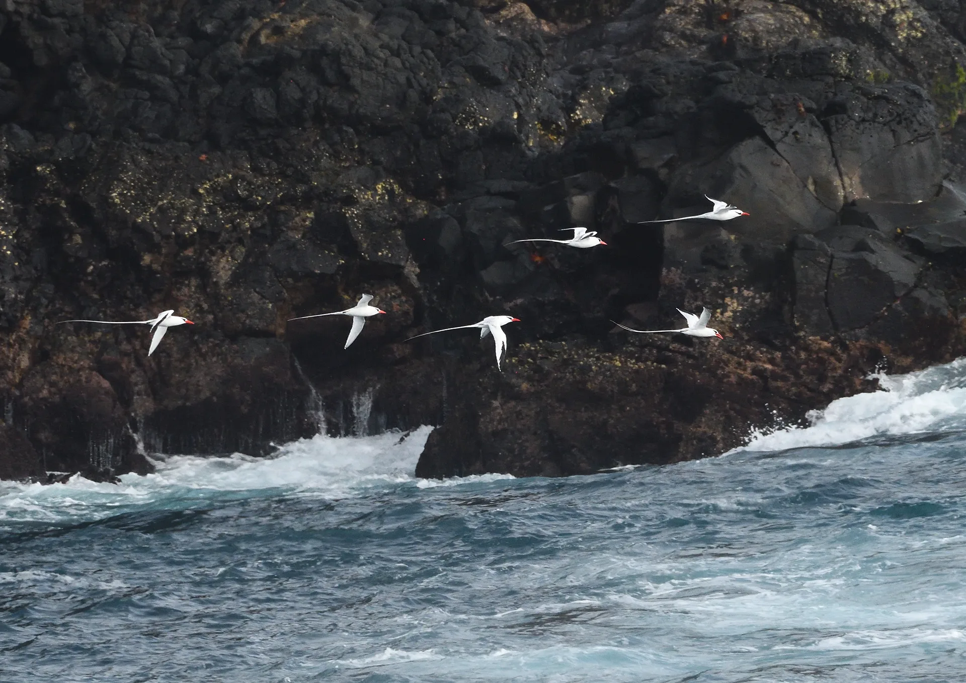 Kite Beach at Sal Island, Cape Verde