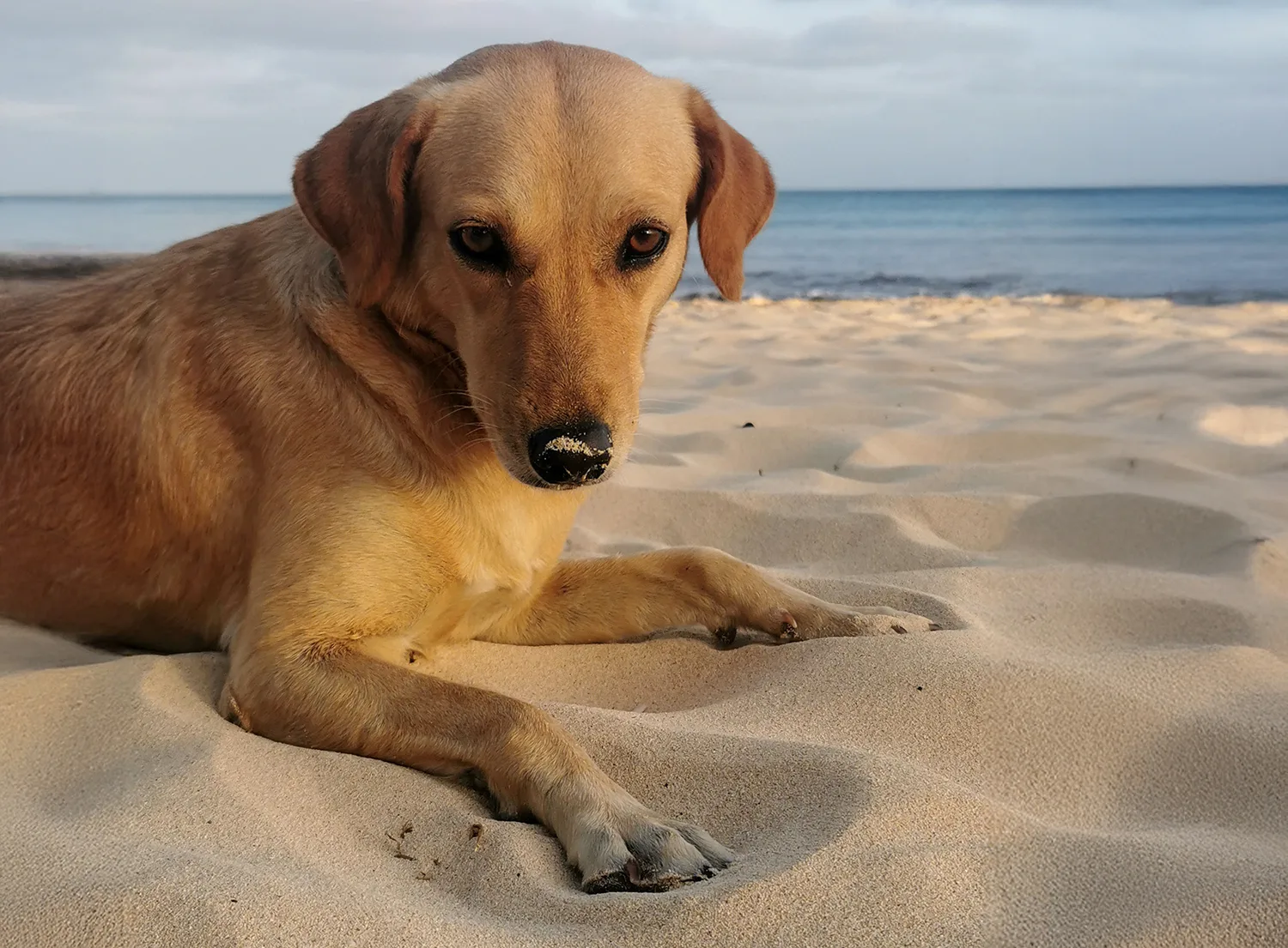 Kite Beach at Sal Island, Cape Verde